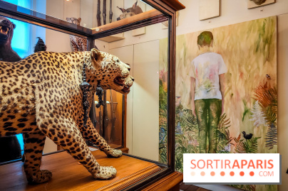 S'éclairer sans fin : l'exposition poétique d'Edi Dubien au musée de la Chasse et de la Nature - photos