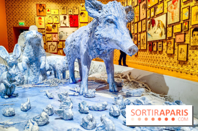 S'éclairer sans fin : l'exposition poétique d'Edi Dubien au musée de la Chasse et de la Nature - photos - IMG20241209150026