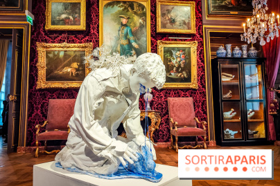 S'éclairer sans fin : l'exposition poétique d'Edi Dubien au musée de la Chasse et de la Nature - photos - IMG20241209150828