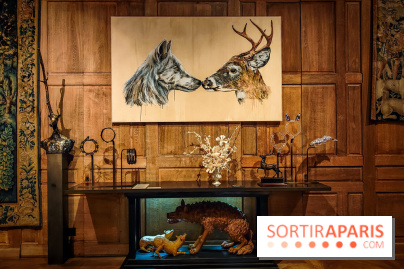 S'éclairer sans fin : l'exposition poétique d'Edi Dubien au musée de la Chasse et de la Nature - photos - IMG20241209151516