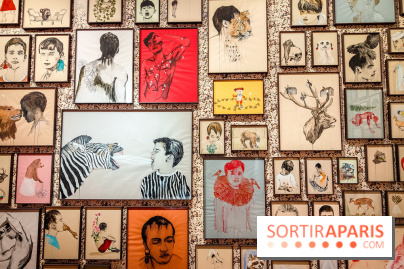 S'éclairer sans fin : l'exposition poétique d'Edi Dubien au musée de la Chasse et de la Nature - photos - IMG20241209145732