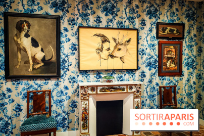 S'éclairer sans fin : l'exposition poétique d'Edi Dubien au musée de la Chasse et de la Nature - photos - IMG20241209153907