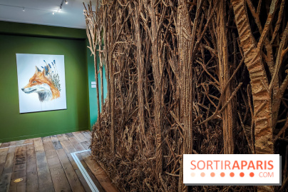 S'éclairer sans fin : l'exposition poétique d'Edi Dubien au musée de la Chasse et de la Nature - photos - IMG20241209153732