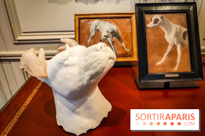S'éclairer sans fin : l'exposition poétique d'Edi Dubien au musée de la Chasse et de la Nature - photos