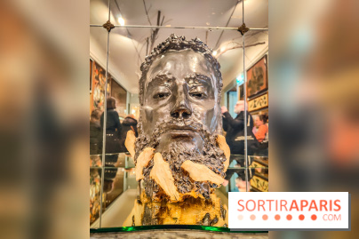 S'éclairer sans fin : l'exposition poétique d'Edi Dubien au musée de la Chasse et de la Nature - photos - IMG20241209152242