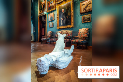 S'éclairer sans fin : l'exposition poétique d'Edi Dubien au musée de la Chasse et de la Nature - photos - IMG20241209150642