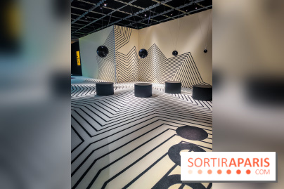 Silence : l'exposition immersive se dévoile à la Cité des Sciences et de l'Industrie - IMG20241210100707