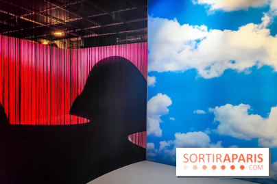 Silence : l'exposition immersive se dévoile à la Cité des Sciences et de l'Industrie - IMG20241210101744