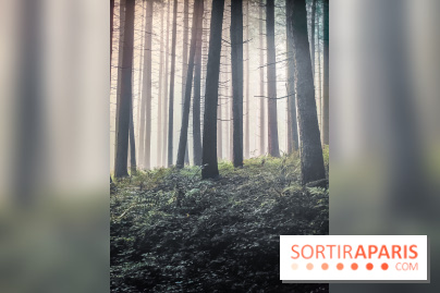 Silence : l'exposition immersive se dévoile à la Cité des Sciences et de l'Industrie - IMG20241210102205