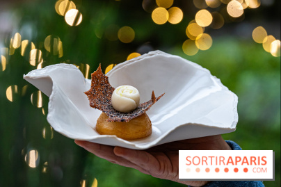 Le tea time de Noël du Four Seasons George V - photos -  A7C9005