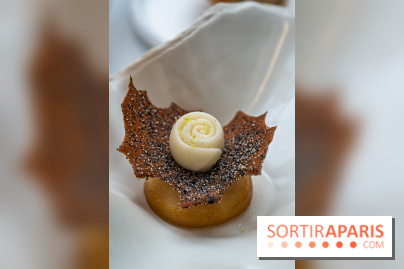 Le tea time de Noël du Four Seasons George V - photos -  A7C9006