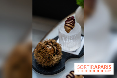 Le tea time de Noël du Four Seasons George V - photos -  A7C9011