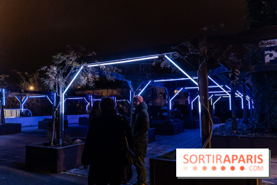 Lueurs de Mantes 2024, le parcours lumineux dans les Yvelines - photos -  A7C9131