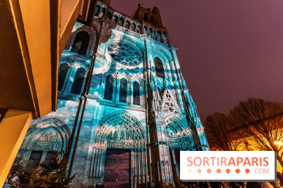 Lueurs de Mantes 2024, le parcours lumineux dans les Yvelines - photos -  A7C9178