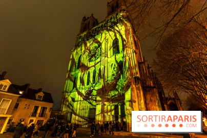 Lueurs de Mantes 2024, le parcours lumineux dans les Yvelines - photos -  A7C9184