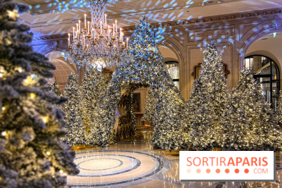 George V x Danico  - image00011