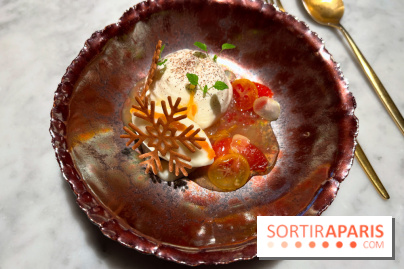 Virtus - Dessert main de bouddha