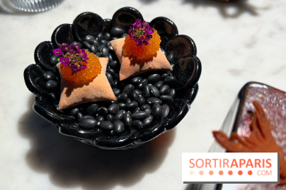 Virtus - Amuse-bouches