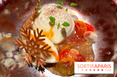 Virtus - Dessert main de bouddha