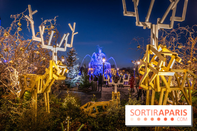 Le Marché de Noël de la Place de la Concorde à Paris -  A7C9418