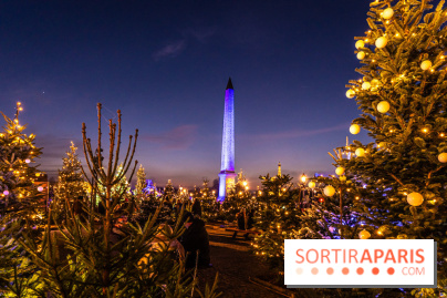 Le Marché de Noël de la Place de la Concorde à Paris -  A7C9422