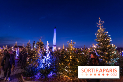 Le Marché de Noël de la Place de la Concorde à Paris -  A7C9428
