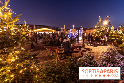 Le Marché de Noël de la Place de la Concorde à Paris -  A7C9431