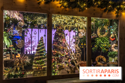 Le Marché de Noël de la Place de la Concorde à Paris -  A7C9452