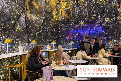 Noël 2024 à la tour Eiffel - image00003