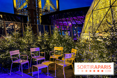 Noël 2024 à la tour Eiffel - image00018