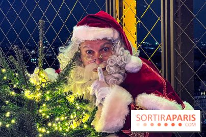 Noël 2024 à la tour Eiffel - image00030