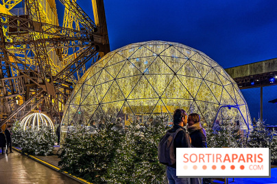 Noël 2024 à la tour Eiffel - image00001