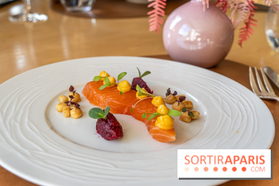 La Table du Château à Dampierre-en-Yvelines, le restaurant face au château - nos photos -  saumon