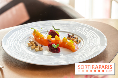 La Table du Château à Dampierre-en-Yvelines, le restaurant face au château - nos photos -  saumon