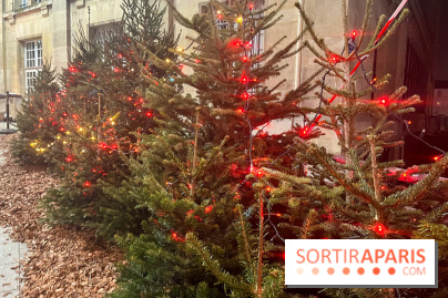 Bel Hiver Saint-Denis 2024 - nos photos - image00020