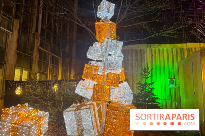 Bel Hiver Saint-Denis 2024 - nos photos - image00017