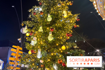 Bel Hiver Saint-Denis 2024 - nos photos - image00006