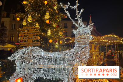 Bel Hiver Saint-Denis 2024 - nos photos - image00004