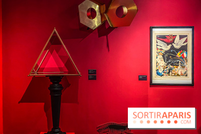 Exposition Magique ! au Musée de la Carte à jouer - IMG 2170