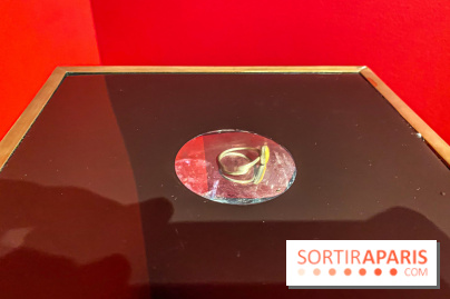 Exposition Magique ! au Musée de la Carte à jouer - IMG 2173