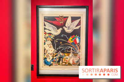 Exposition Magique ! au Musée de la Carte à jouer - IMG 2174