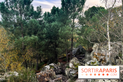 Les 25 bosses - photos - image00081