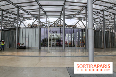 Gare Villejuif - Gustave Roussy, nos phoros