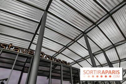 Gare Villejuif - Gustave Roussy, nos phoros - IMG 7166