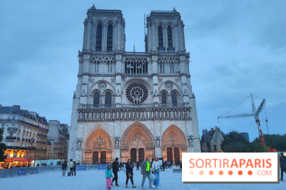 Notre-Dame de Paris - visuels - nuit