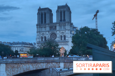 Notre-Dame de Paris - visuels - nuit