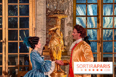 Le Parcours du Roi, la visite-spectacle de Noël 2024 du Château de Versailles - FullSizeRender 43