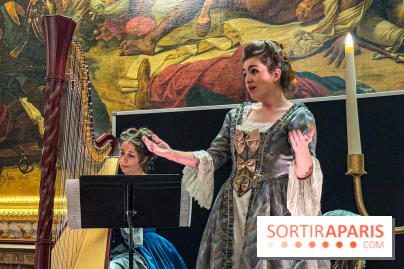 Le Parcours du Roi, la visite-spectacle de Noël 2024 du Château de Versailles - FullSizeRender 47