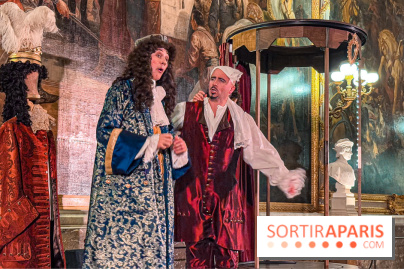 Le Parcours du Roi, la visite-spectacle de Noël 2024 du Château de Versailles - FullSizeRender 53