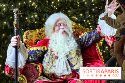 Le Parcours du Roi, la visite-spectacle de Noël 2024 du Château de Versailles - IMG 6301 jpg 2